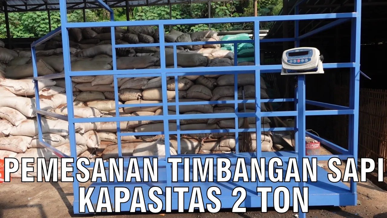 
                                 Timbangan-Ternak-Digital-Sapi-2-Ton